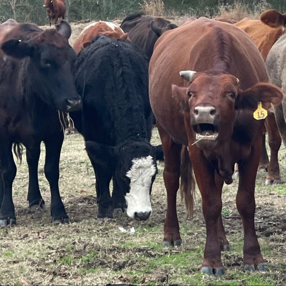 Be nice - Picture 8 of 12